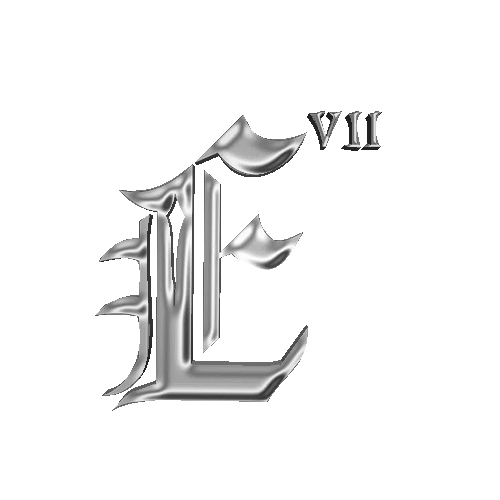 ELEGANTE VII LLC 