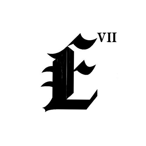 ELEGANTE VII LLC 